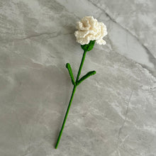 Load image into Gallery viewer, Clavel