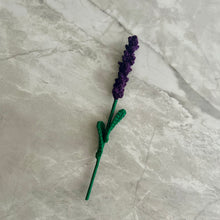 Load image into Gallery viewer, Lavanda
