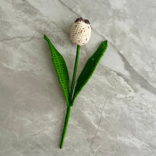 Load image into Gallery viewer, Tulipán