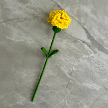 Load image into Gallery viewer, Clavel