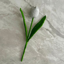 Load image into Gallery viewer, Tulipán