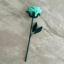 Load image into Gallery viewer, Rosa