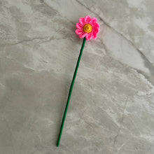 Load image into Gallery viewer, Manzanilla