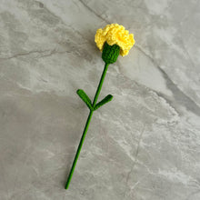 Load image into Gallery viewer, Clavel