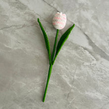 Load image into Gallery viewer, Tulipán