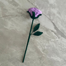 Load image into Gallery viewer, Rosa