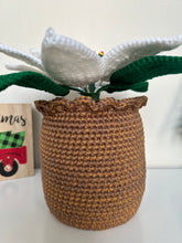 Load image into Gallery viewer, Poinsettia