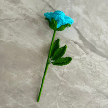 Load image into Gallery viewer, Rosa