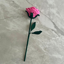 Load image into Gallery viewer, Rosa