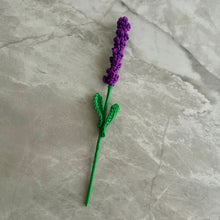 Load image into Gallery viewer, Lavanda