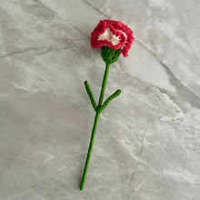 Load image into Gallery viewer, Clavel