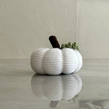 Load image into Gallery viewer, Calabazas
