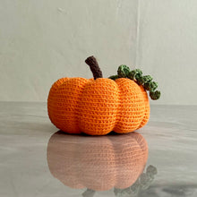 Load image into Gallery viewer, Calabazas

