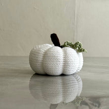 Load image into Gallery viewer, Calabazas

