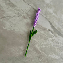 Load image into Gallery viewer, Lavanda
