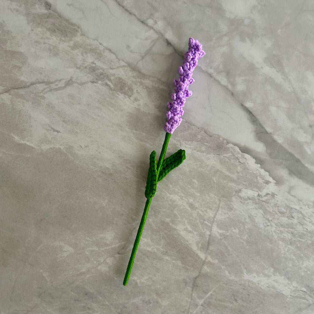 Lavanda