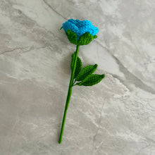 Load image into Gallery viewer, Rosa
