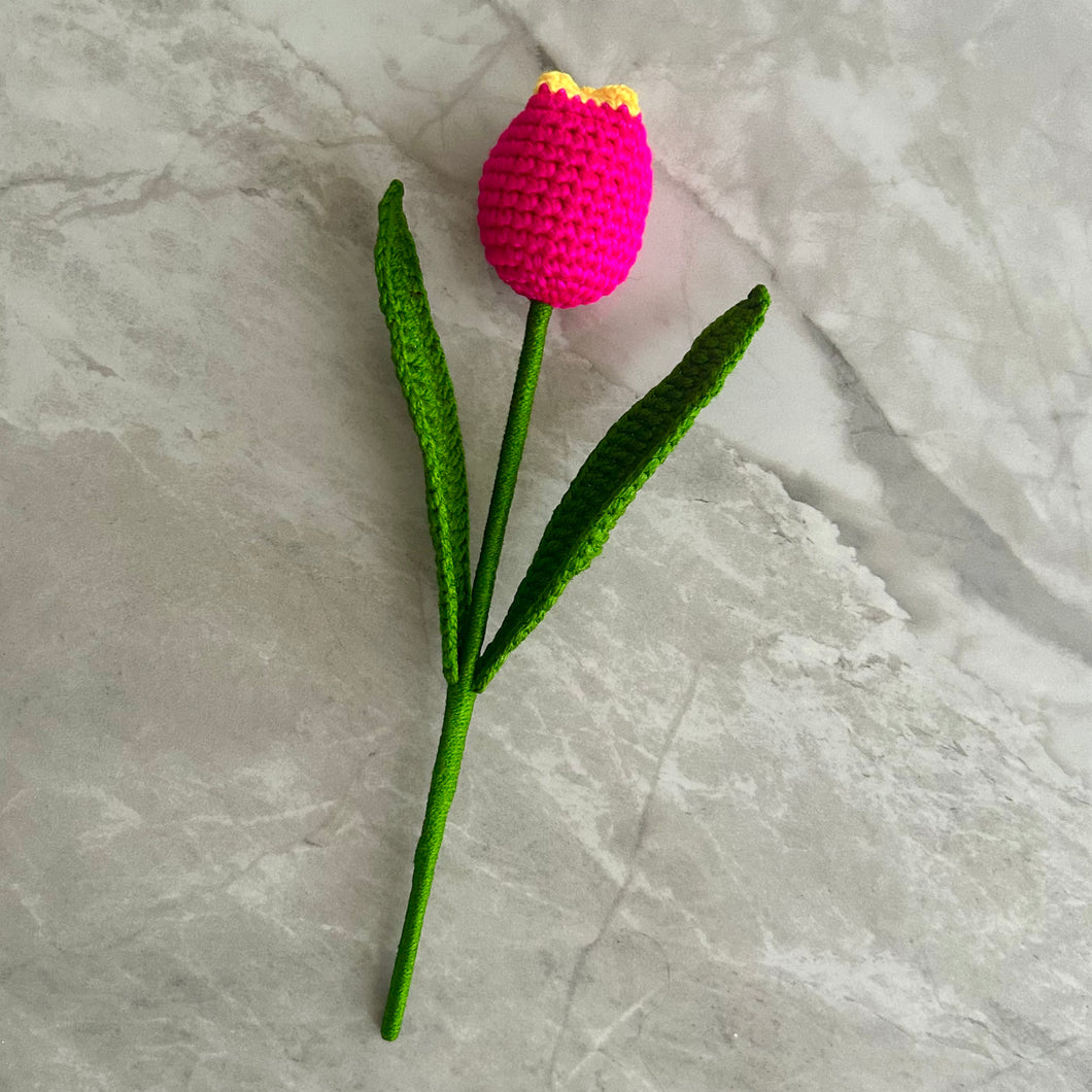 Tulipán