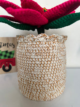 Load image into Gallery viewer, Poinsettia
