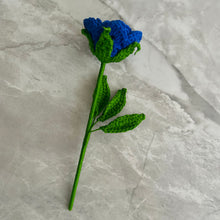 Load image into Gallery viewer, Rosa
