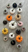 Load image into Gallery viewer, Calabazas
