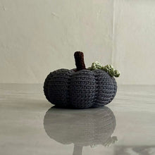 Load image into Gallery viewer, Calabazas
